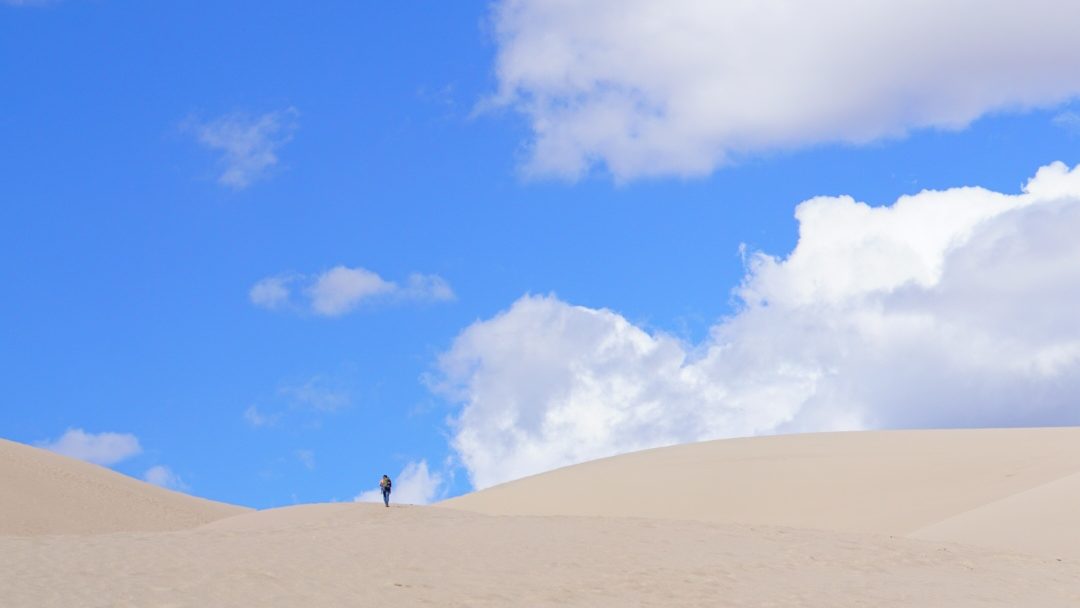 The Case for AmeriCorps from a Trauma Therapist’s Perspective